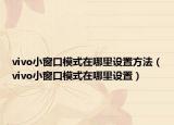 vivo小窗口模式在哪里设置方法（vivo小窗口模式在哪里设置）