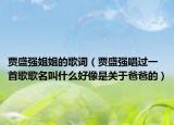贾盛强姐姐的歌词（贾盛强唱过一首歌歌名叫什么好像是关于爸爸的）