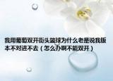 我用葡萄双开街头篮球为什么老是说我版本不对进不去（怎么办啊不能双开）