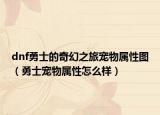 dnf勇士的奇幻之旅宠物属性图（勇士宠物属性怎么样）