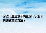 宁波市查违章车辆查询（宁波车辆违法查询方法）