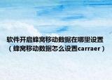 软件开启蜂窝移动数据在哪里设置（蜂窝移动数据怎么设置carraer）