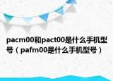 pacm00和pact00是什么手机型号（pafm00是什么手机型号）