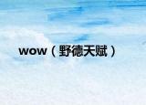 wow（野德天赋）