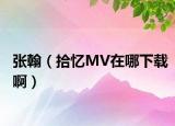 张翰（拾忆MV在哪下载啊）