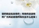 猪药网是批发兽药（有兽药资源有药厂尤其是猪用药现在该怎么发展）