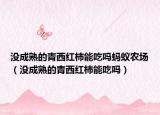 没成熟的青西红柿能吃吗蚂蚁农场（没成熟的青西红柿能吃吗）