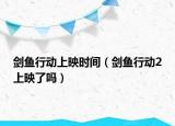 剑鱼行动上映时间（剑鱼行动2上映了吗）