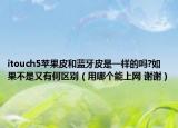 itouch5苹果皮和蓝牙皮是一样的吗?如果不是又有何区别（用哪个能上网 谢谢）