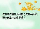 皮鞋漆皮是什么材质（皮鞋中的术语漆皮是什么意思哦）