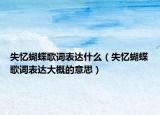 失忆蝴蝶歌词表达什么（失忆蝴蝶歌词表达大概的意思）
