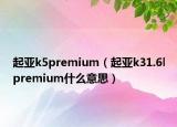 起亚k5premium（起亚k31.6lpremium什么意思）