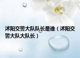 沭阳交警大队队长是谁（沭阳交警大队大队长）