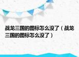 战龙三国的图标怎么没了（战龙三国的图标怎么没了）