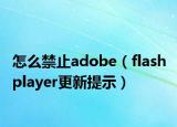 怎么禁止adobe（flash player更新提示）