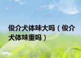 俊介犬体味大吗（俊介犬体味重吗）