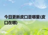 今日更新皮口是哪里(皮口在哪)