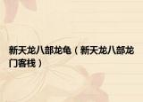 新天龙八部龙龟（新天龙八部龙门客栈）