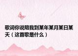 歌词你说陪我到某年某月某日某天（这首歌是什么）