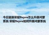 今日更新荣耀9xpro怎么升级鸿蒙系统 荣耀9xpro如何升级鸿蒙系统