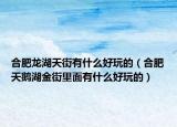 合肥龙湖天街有什么好玩的（合肥天鹅湖金街里面有什么好玩的）