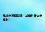战旗电视剧剧情（战旗胜什么电视剧）