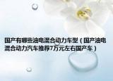 国产有哪些油电混合动力车型（国产油电混合动力汽车推荐7万元左右国产车）