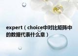 expert（choice中对比矩阵中的数据代表什么意）