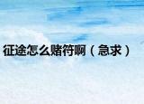 征途怎么赌符啊（急求）