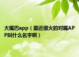 大嘴巴app（最近很火的对嘴APP叫什么名字啊）