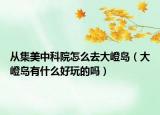 从集美中科院怎么去大嶝岛（大嶝岛有什么好玩的吗）
