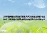 赏析春天像刚落地的娃娃从头到脚都是新的它生长着（春天像小姑娘花枝招展的笑着走着这句子）