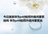 今日更新华为p40如何升级鸿蒙系统吗 华为p40如何升级鸿蒙系统