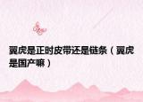翼虎是正时皮带还是链条（翼虎是国产嘛）