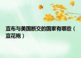 宣布与美国断交的国家有哪些（宣花袍）