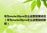 华为mate20pro怎么设置智慧语音（华为mate20pro怎么设置指纹解锁）