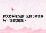 神犬奇兵杨烁是什么狗（锁情牵by十世谁攻谁受）