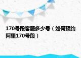 170号段客服多少号（如何预约阿里170号段）