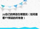 yy自己的频道在哪里找（如何查看YY频道的所有者）
