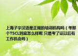 上海子宇汉语是正规的培训机构吗（考那个TSCL到底怎么样呢 只是考了证以后有工作机会吗）