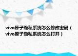 vivo原子隐私系统怎么修改密码（vivo原子隐私系统怎么打开）