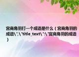 宫商角羽打一个成语是什么（宫商角羽的成语