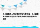 少小离家老大回乡音无改鬓毛衰作者（少小离家老大回乡音无改鬓毛催出自哪里?作者是谁?急!求解）
