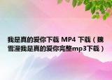 我是真的爱你下载 MP4 下载（魏雪漫我是真的爱你完整mp3下载）