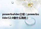 powerbuilder介绍（powerbuilder12.0做什么用的）