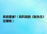 赵岩是谁?（赵科岩的《赵先生》在哪有）