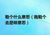勒个什么意思（我勒个去是啥意思）