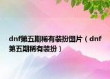 dnf第五期稀有装扮图片（dnf第五期稀有装扮）