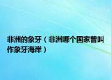 非洲的象牙（非洲哪个国家曾叫作象牙海岸）