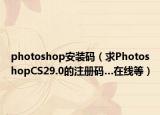 photoshop安装码（求PhotoshopCS29.0的注册码…在线等）